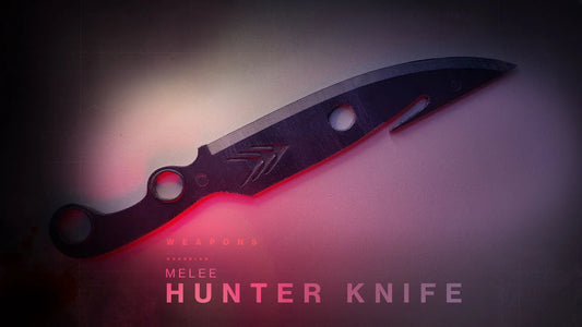 destiny 2 hunters dagger
