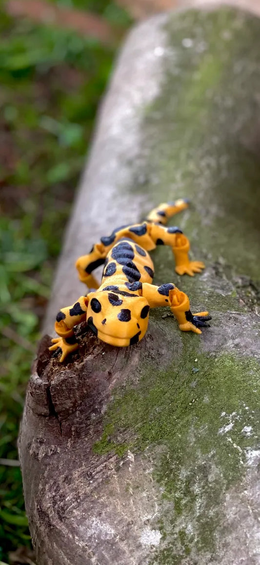 flexi salamader